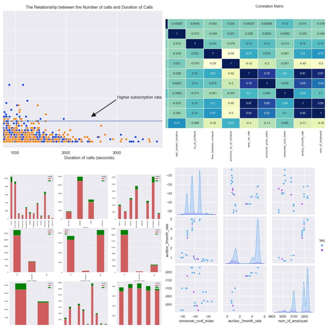 Portugese banking behavior analytics